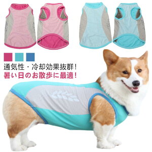     bV ^ G炷  EFA Ђ u N[ CM ⊴ O΍ p ^ p ybgEFA G炵 xXg N[xXg MǑ΍ ΍ ĕ 