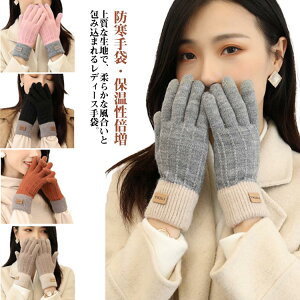  fB[X jbg  ~ h ӂӂ N w jbg ۉ h h X}zΉ O[u jbgO[u h _炩 ۉ g  ] ʋ ʊw 