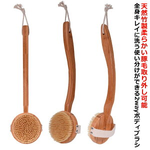 O oX  VR {fB[uV ȕ _炩 oXObY ₷ wjLr {fBX|W A e wuV ؖ C w h~ jLr PA \tg uV oXu