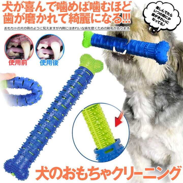 楽天市場 犬用歯ブラシ 噛むおもちゃ 遊び 犬歯ブラシ 中 大型 犬 子犬 かむ 噛む 玩具 ペット 運動 Tecc Inuhab02 Nanahachi 楽天市場店