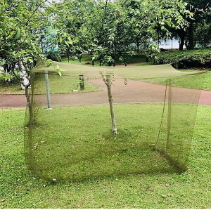 Ė̈ AEghA ᒠ lp ݂艺 ^Cv 200×90×180cm ᒠ  Lv 悯 dar-kayagreen