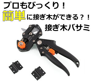 y[֔Eszڂ؃nT~ pւnt s̑őIׂO̃TCY | ؉ K[fjO IXX y v nT~ ڂ TEC-TUGIKID