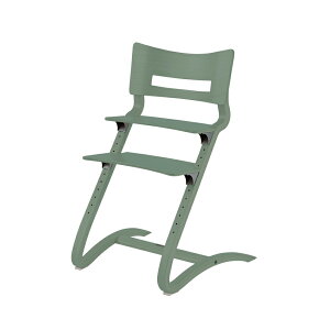 Leander G_[ nC`FA NVbN 2΍  l܂őΉ 125kg܂ xr[`FA _CjO`FA kfUC ɍ킹Ďg ؐ VR q֎q S݌v  