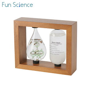 NX}Xv[g 333-272BR `^j JY Fun Science xvXg[OX uE 333272BR VC\ x VC CeA  KI xv KX u Mtg v[g