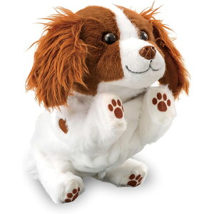 AKc} nC^b`IIShowtime VE^C 3΂ q LbY j̎q ̎q  ̂ ̂ėx ʂ mߋ av[g NX}Xv[g c 