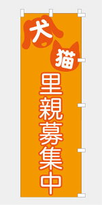 ̂ڂ  eW ی쌢 یL q qL  n n i  `` E E`` 600*1800