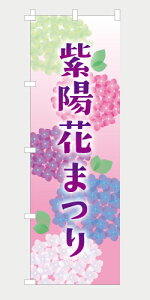 ̂ڂ  zԂ܂ NB25AZISAI01