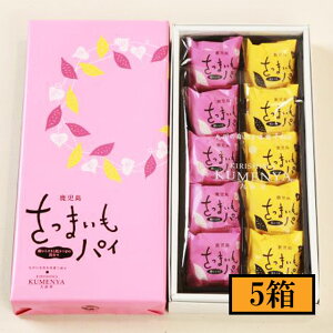 ʉ@܂pCl@10×5@[J[^Es  Mtg v[g 䒆 LO j Ε