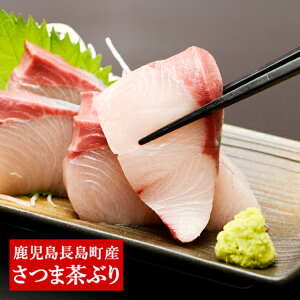 ǂF̒Ԃ̂hgZbg  Never Land [J[@ s