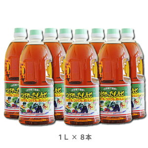 qVN 񂹁@1L×8{@@ | 