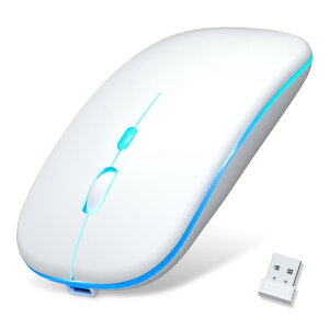 y2024ɔ^fType-C[dz}EX  Bluetooth5.2 CX}EX É uڑ ^ x u[gD [X 2.4GHz 3iKDPIؑ Q[~O}EX ȃGl 7FCg w ϋv