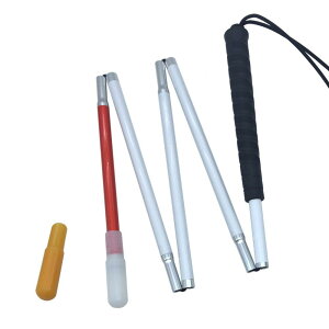 Ӑlp ܂肽ݎܒi A~C Lbvi2j (SObv, 110 cm)