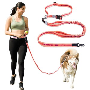 JC HOUSE  [h ^ ^p jO[h nYt[ xgt P U WMO p[h 2 Lk  xޗ ݐ؂h~ ׏d100kg sNi5118j