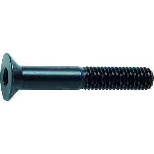 gXRR(TRUSCO) ZptM{g lW B730850  M8×50 17{ x 10pbN x yP[X̔z