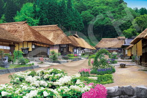 G|bN 1000s[X WO\[pY {i V΂̑h- (50×75cm) 09-012s ̂t wt _t EPOCH