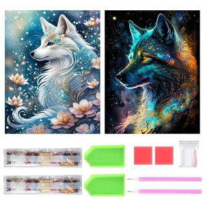 TRX _ChA[g Lbg _Ch̊G 2Zbg ꂢ Sʓ\t _ChA[g 5D S l̎q DIY |Lbg Ƃ̕ǂ̑ (C)