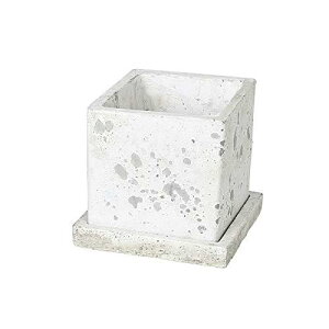 �_���g��(Dulton) ���|�p�i �\���b�h �v�����^�[ �L���[�u ���t�O���[ L�T�C�Y �ꌊ���� SOLID PLANTER CUBE ROUGH GRAY A655-758LRG