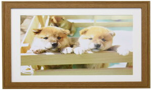 FUJICOLOR ؐz YM-9 A4 uE 407734