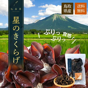 ビタミンDが豊富【金箔付】国産 鳥取県 乾燥きくらげ 乾燥 40g 肉厚 ぷりぷり コリコリ 農薬不使用 七金星 星のきくらげ 国産きくらげ 送料無料 栄養豊富 木耳 きくらげ 無農薬 ビタミンD 乾