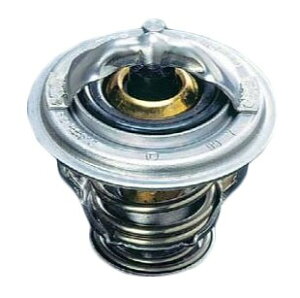 NISMO(jX) [evT[X^bg GNXgC T30 `06/11 iԁF21200-RS520