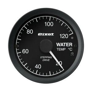 Pivot(s{bg) GT GAUGE-60 v 60 yOBD^Cvz iԁFGOW