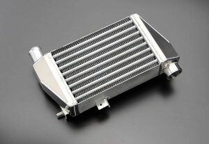 TRUST(gXg) GReddy C^[N[[Lbg SPEC-K XYL Agp HE21S 02/10-08/11 iԁF12090603