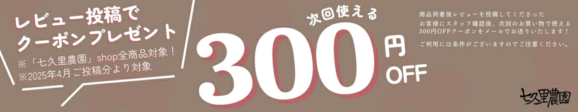 レビューキャンペーン2025.04-07