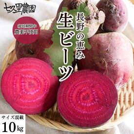 ビーツ 国産 七久里農園 10kg 生ビーツ 西洋 野菜 長野県産 産地直送 赤 スーパーフード ビートルート beet beetroot 西洋野菜 無農薬野菜 栄養 デトロイト・ダークレッドビーツ 葉酸 ポリフェノール 美容 健康 ボルシチ 珍しい食材 長野県野菜 栽培期間中 農薬不使用