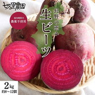 ビーツ 国産 2kg 赤 生ビーツ 長野県産 産地直送 野菜ビーツ 栄養 無農薬 スーパーフード 根菜 ビートル…