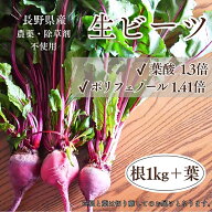 ビーツ 国産 七久里農園 1kg ＋葉2株 ビーツの葉 葉付きビーツ 生ビーツ 長野県産 無農薬 産地直送 農家 …
