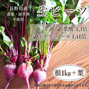 �r�[�c ���Y ���v���_�� 1kg �{�t2�� �r�[�c�̗t �t�t���r�[�c ���r�[�c ���쌧�Y ���_�� �Y�n���� �_�� ���Ԍ��� �X�[�p�[�t�[�h �r�[�g���[�g beet beets beetroot �r�[�c��� ���m��� �f�g���C