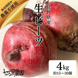 ビーツ 国産 4kg 長野県産 生ビーツ 産地直送 スーパーフード ビートルート beet beetroot 生 ビーツ野菜 栄養 赤い野菜 西洋野菜 デトロイト・ダークレッドビーツ 葉酸 カリウム ポリフェノール 珍しい食べ物 珍しい野菜 美容 オリゴ糖 サラダ 長野産 栽培期間中 農薬不使用