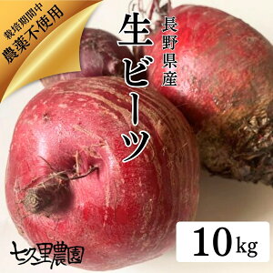 r[c Y 󂠂 v_ 10kg r[c  쌧Y Yn  X[p[t[h r[g[g beet beetroot m h{ fgCgE_[Nbhr[c t_ JE |tFm