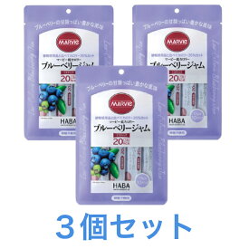 マービー低カロリー ブルーベリージャム 3個セット スティックタイプ 砂糖不使用 13g×10スティック 送料無料 追跡付き発送