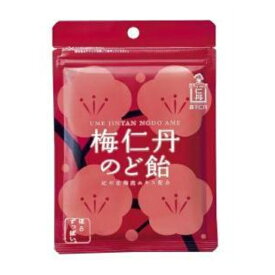 森下仁丹 梅仁丹のど飴 60g 紀州産 梅肉エキス ハーブ ビタミンC配合 送料無料 追跡付き発送