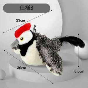 L  Ԓ lV   sso[h    m ʂ XY t H΂ USB[d L̂  lC uE ˂ g