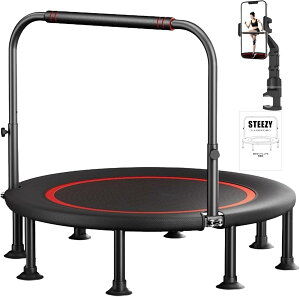 STEEZY g|  X}zz_[t  É 8{r ω׏d300kg 肷O 102cm 40C`