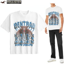 楽天市場】ホリスター Hollister（サイズ（S/M/L）3L）（Tシャツ 