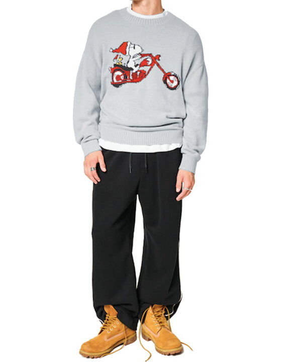 楽天市場】ホリスター セーター 正規品 HOLLISTER メンズ XL(LL) 上質 