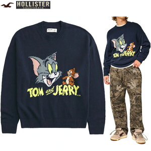 �z���X�^�[ �Z�[�^�[ ���K�i HOLLISTER �����Y �������T�C�Y M�T�C�Y �㎿ ������ �\�t�g�j�b�g�Z�[�^�[ �N���[�l�b�N �{�N�V�[�t�B�b�g �g���ƃW�F���[ ���� �C���^�[�V���O���t�B�b�N�҂� 