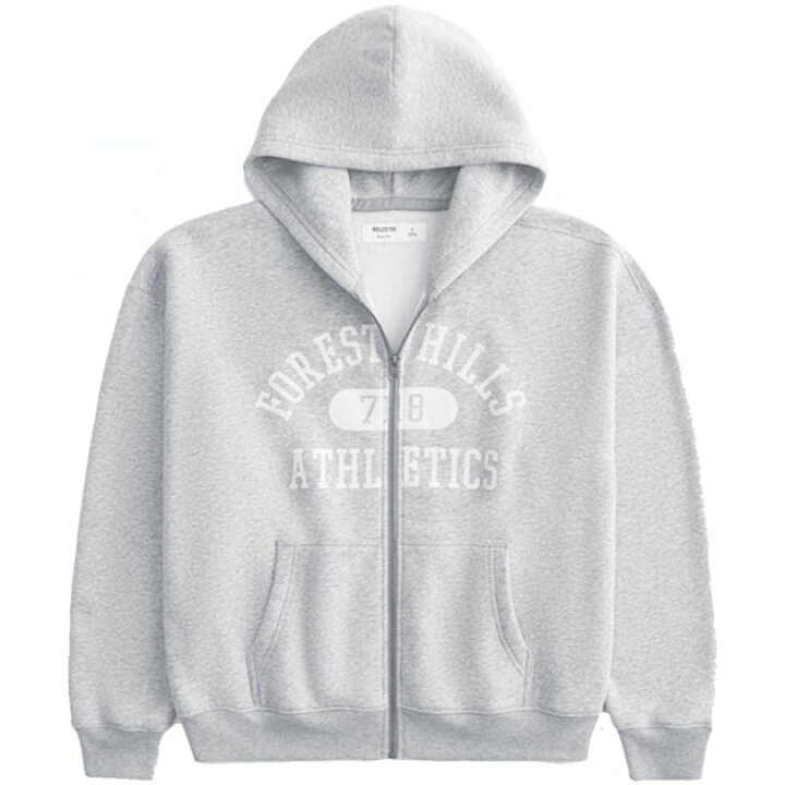 楽天市場】ホリスター パーカー HOLLISTER 正規品 メンズ M/XL 大きい 