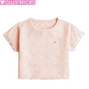 �z���X�^�[ T�V���c HOLLISTER ���K�i���f�B�[�X T �����N���b�vT �\�t�g�r�X�R�[�X ���S�X�e�b�` �n�[�g�h�J �N���[�l�b�N �A���J�W �傫���T�C�Y �s���N�x�[�W�� ���[���� �ŒZ�������� ����