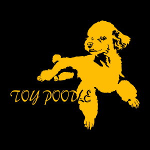 fUC hbO XebJ[ugCv[hAvꏊɓ\pyW215×H180zXebJ[   XebJ[ ԃV[ XebJ[ v[hXebJ[ gCv[hXebJ[