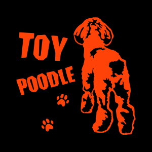 fUC hbO XebJ[ugCv[h BvyW155×H155zXebJ[   XebJ[ ԃV[ XebJ[ v[hXebJ[ gCv[hXebJ[