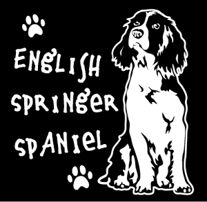 fUC hbO XebJ[yCObVXvK[XpjGBziLTCYj ꏊɓ\p y192×190mmz ԃXebJ[ h 킢 X[cP[X ԑ  hbOXebJ[ 