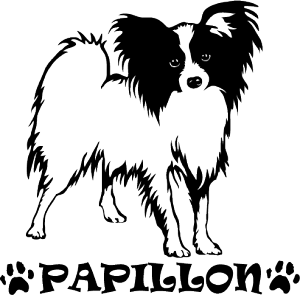 fUC hbO XebJ[ ypsAzySTCYzXebJ[ XebJ[ ԗpXebJ[