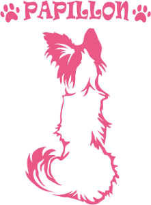 fUChbOXebJ[ ypsBzySTCYzXebJ[ XebJ[ ԗpXebJ[