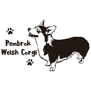 yfUC hbO XebJ[zEFVR[M[yu[NiLTCYjyH140mm×W240mmzꏊɓ\p ԃXebJ[ h 킢 X[cP[X ԑ  hbOXebJ[  t