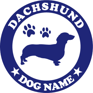 _bNXthX[Xy˃^CvzIWihbOXebJ[ ybg XebJ[ DOGXebJ[ hbOVGbg؂蔲V[ @XebJ[ l[  @XebJ[  