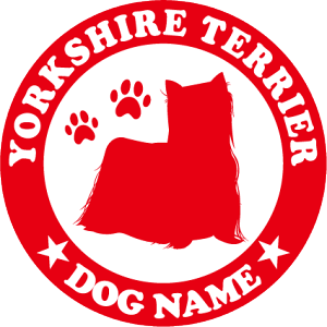 [NVeAy˃^CvzIWihbOXebJ[ ybg XebJ[ DOGXebJ[ hbOVGbg؂蔲V[ @XebJ[ l[  @XebJ[   Xe